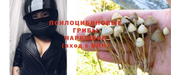 2c-b Верея