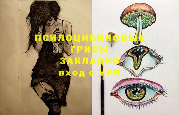 прущие грибы Верхнеуральск