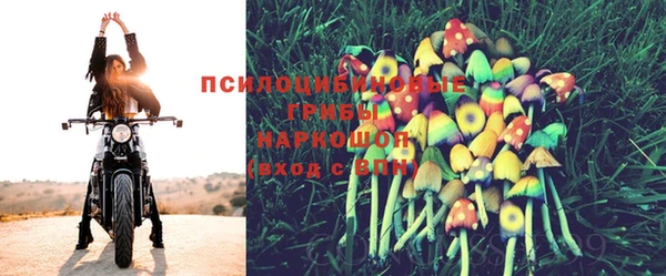 прущие грибы Верхнеуральск