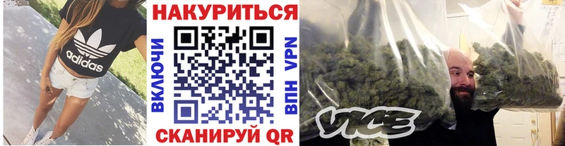 цена   Лянтор  Бошки Шишки сатива 